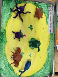 SẢN PHẨM CỦA TRẺ